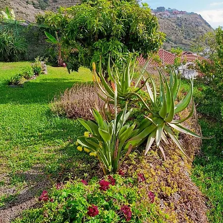 Vista Romantica Madeira Arco da Calheta  Exterior photo